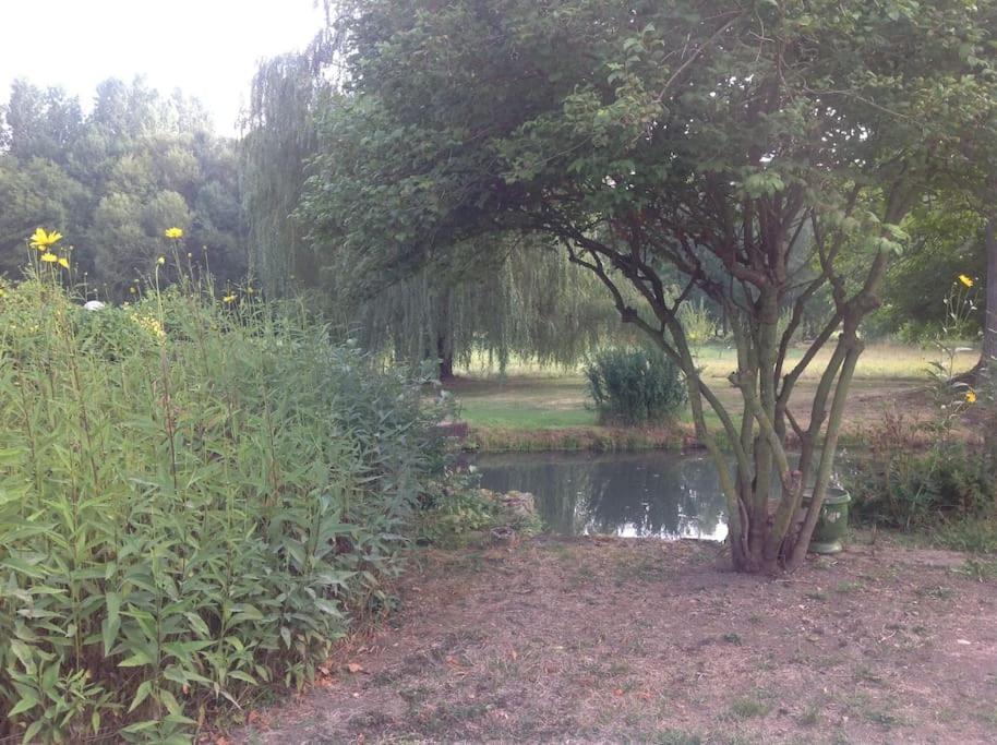 Le Foulon - Moulin De Charme - 1 Heure 30 De Paris Villa Saint-Hilaire-les-Andresis Bagian luar foto